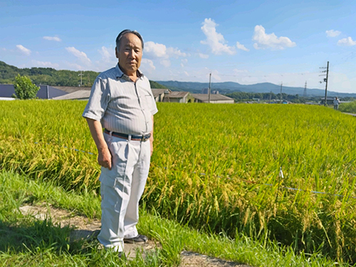 加茂町のつきあかり