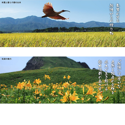 朱鷺（トキ）が舞う里のお米