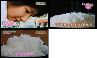 読売テレビ「ほんわかテレビ」