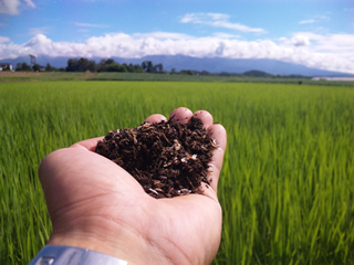 環境共生型農業