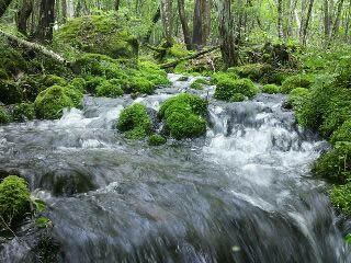 環境共生型農業