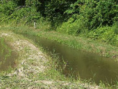 水田や水路の深み